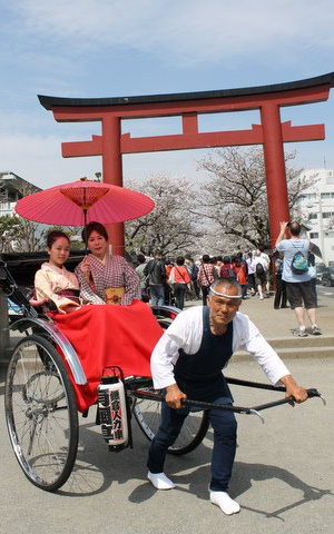 鶴岡八幡宮向かう段葛の桜を背景に歓声を浴びるのも着物ゆえ
