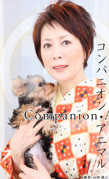 Companion Animal コンパニオン・アニマル